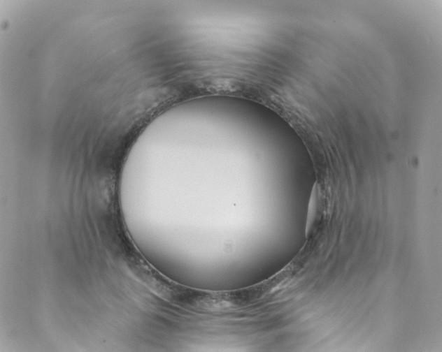 X0000089440747200707061408