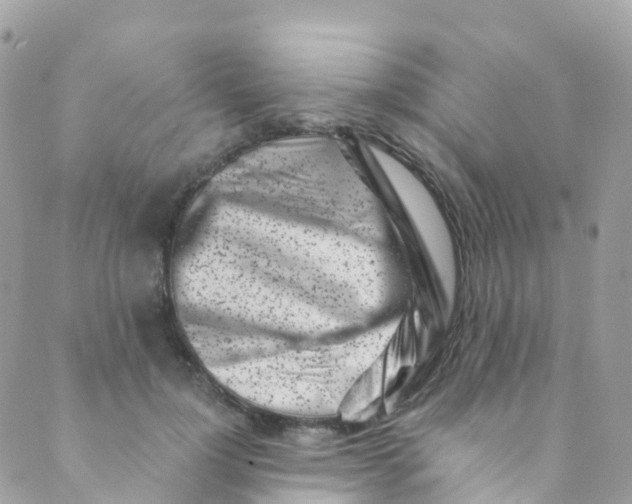 X0000089440748200707061408