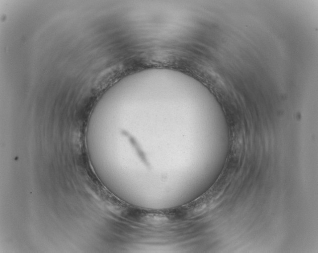 X0000089440749200707061408