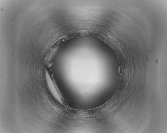 X0000089440750200707061408