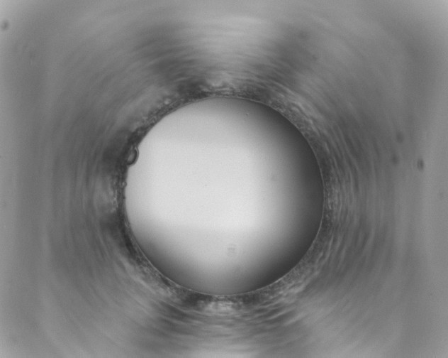 X0000089440751200707061408