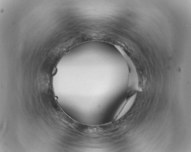 X0000089440752200707061408