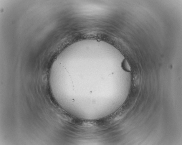 X0000089440753200707061408