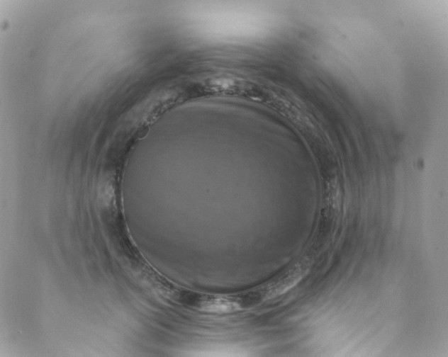 X0000089440754200707061408