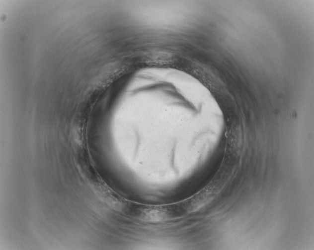 X0000089440755200707061408