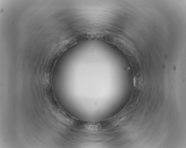 X0000089440756200707061408