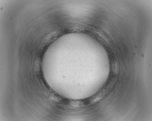 X0000089440757200707061408