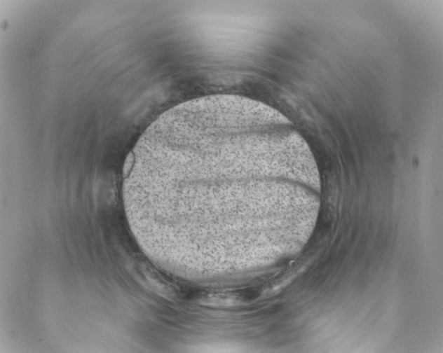 X0000089440758200707061408