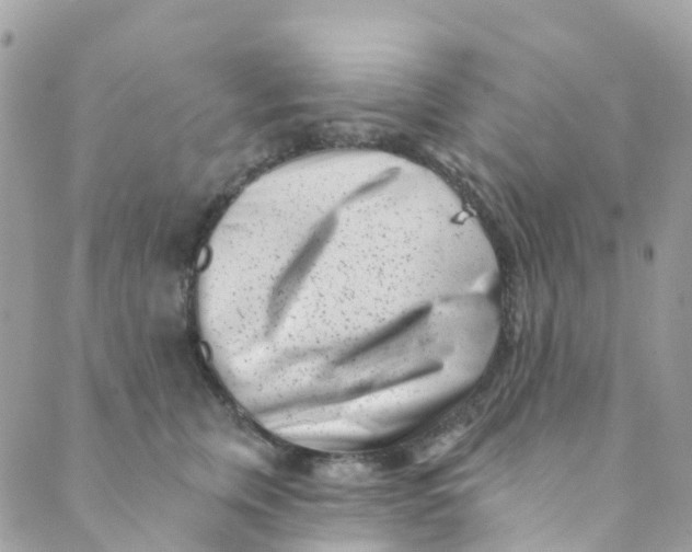 X0000089440759200707061408