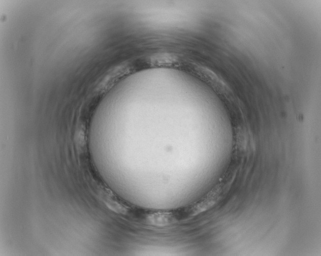 X0000089440761200707061408