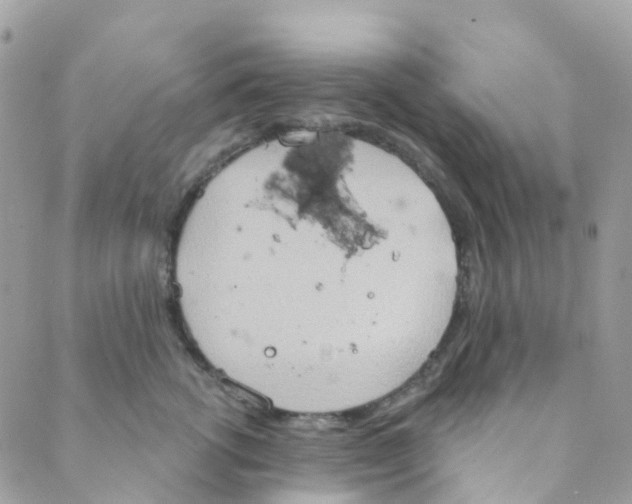 X0000089440762200707061408