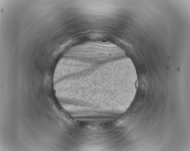 X0000089440763200707061408