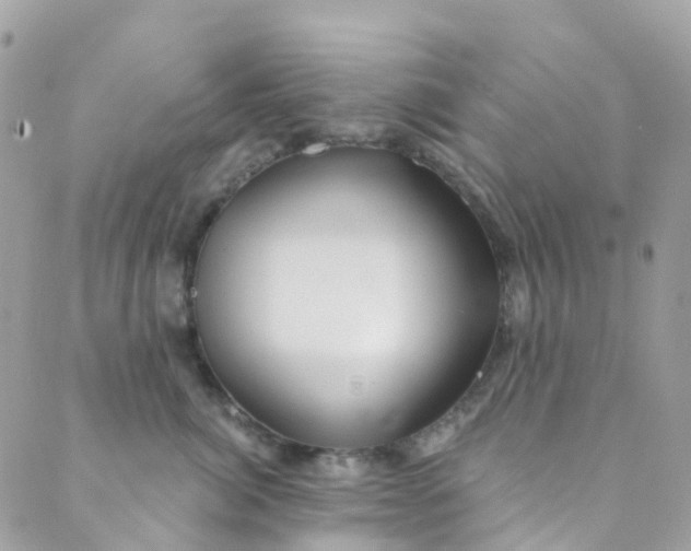 X0000089440764200707061408