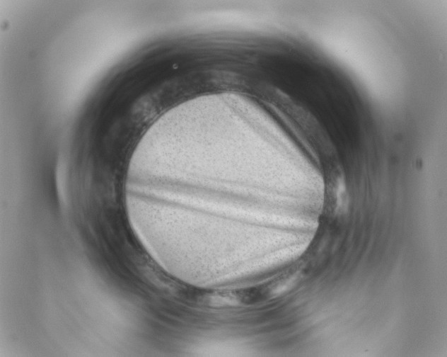 X0000089440765200707061408