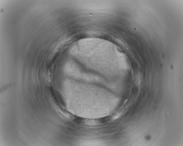 X0000089440766200707061408