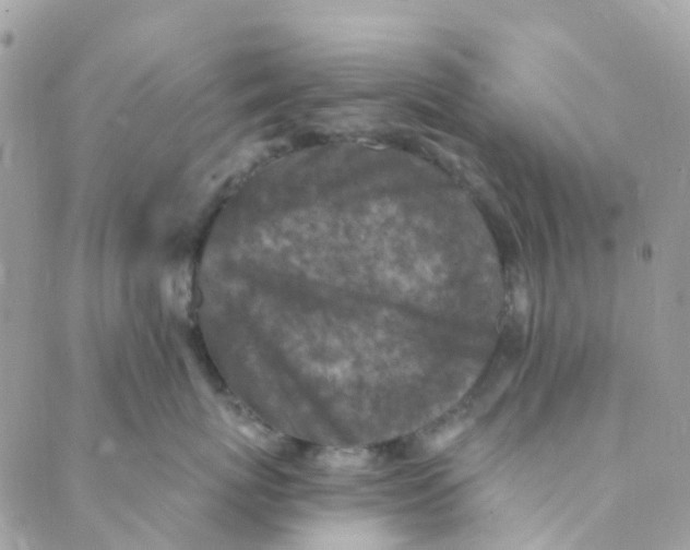 X0000089440767200707061408