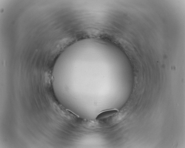 X0000089440768200707061408