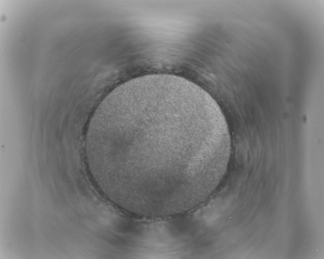 X0000089440769200707061407