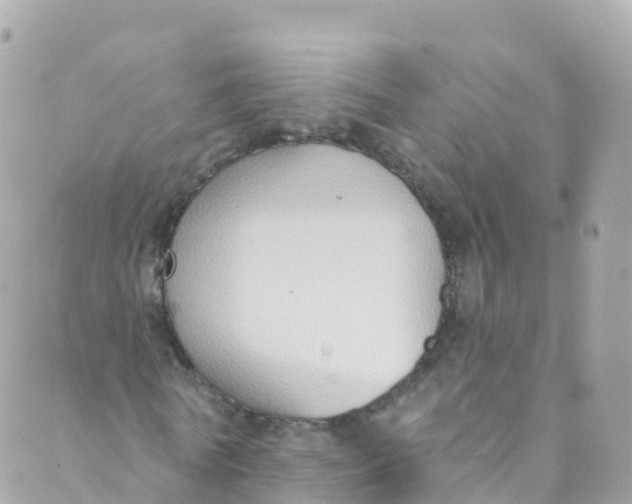 X0000089440770200707061407