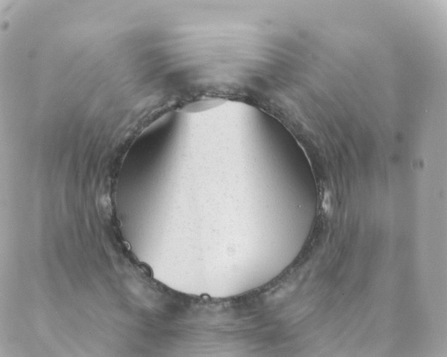 X0000089440771200707061407