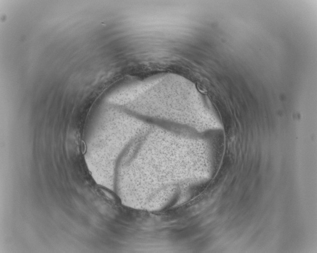 X0000089440772200707061407