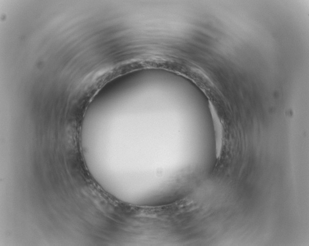 X0000089440773200707061407