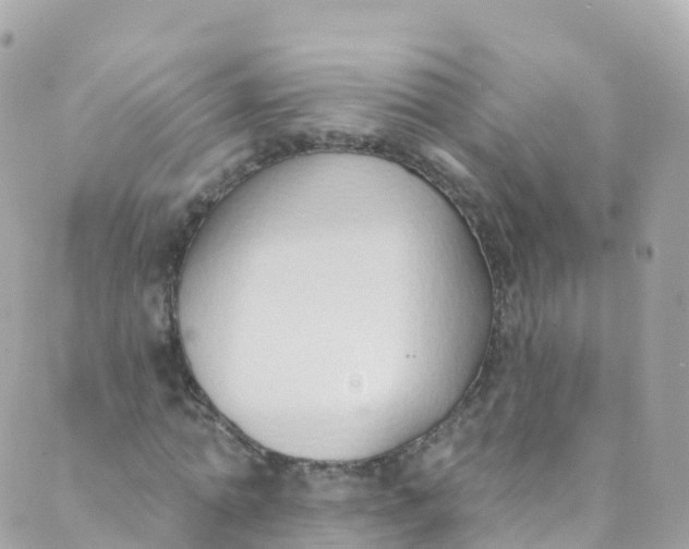 X0000089440774200707061407