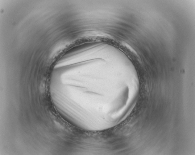 X0000089440775200707061407