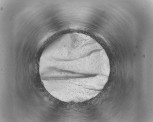 X0000089440776200707061407