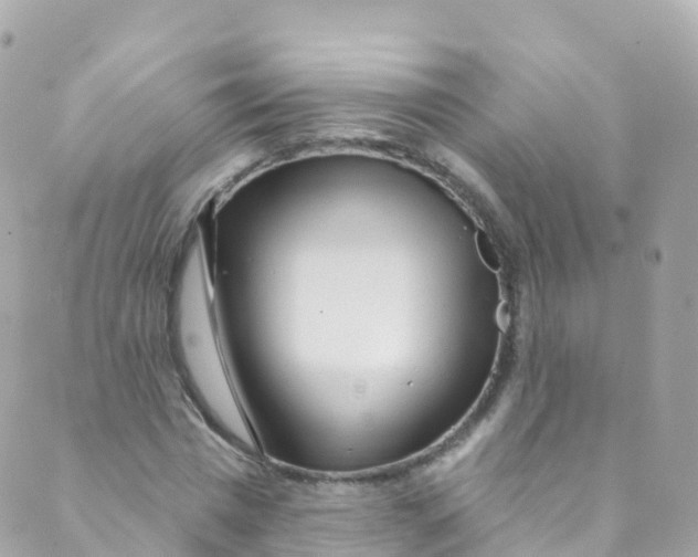 X0000089440777200707061407