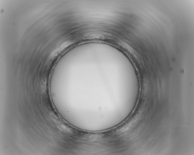 X0000089440778200707061407