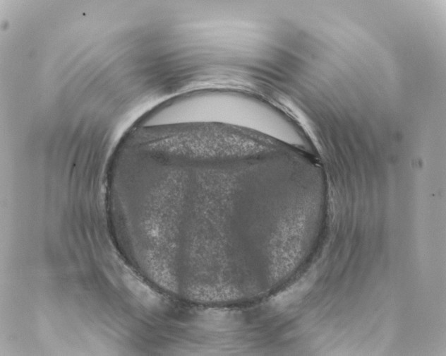 X0000089440779200707061407