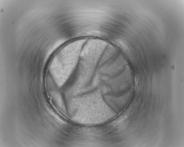 X0000089440780200707061407