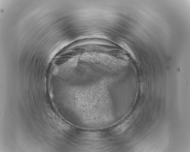 X0000089440781200707061407