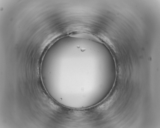 X0000089440782200707061407