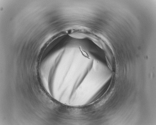 X0000089440783200707061407