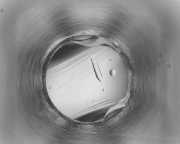 X0000089440784200707061407