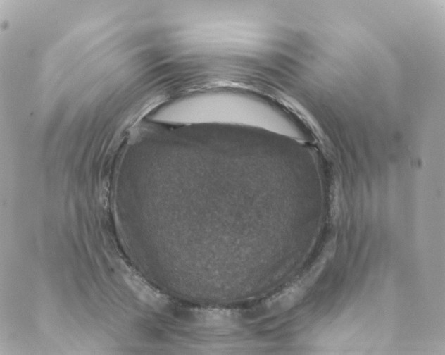 X0000089440785200707061407