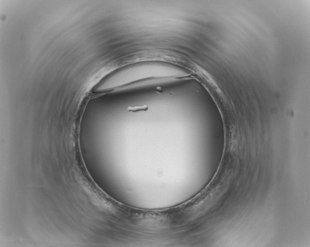 X0000089440786200707061407