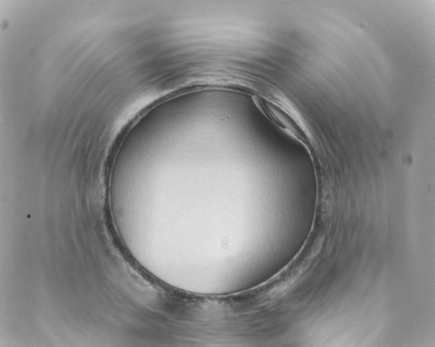 X0000089440787200707061407