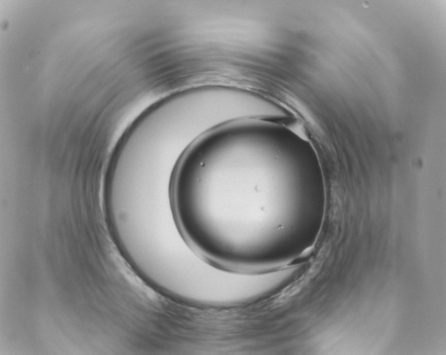 X0000089440788200707061407