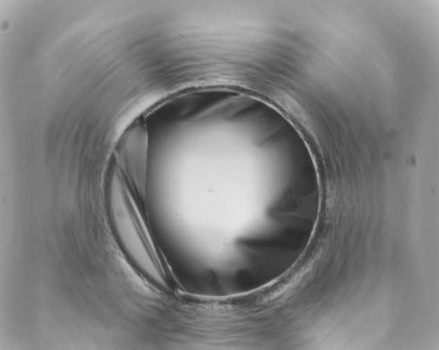 X0000089440789200707061407