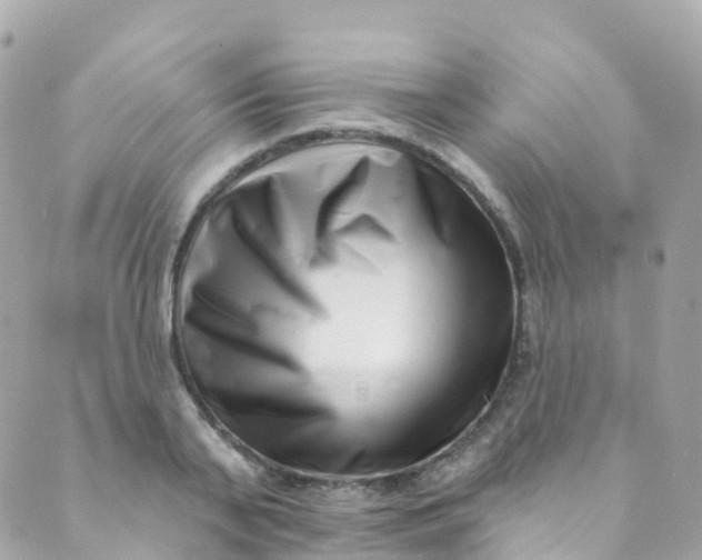 X0000089440791200707061407