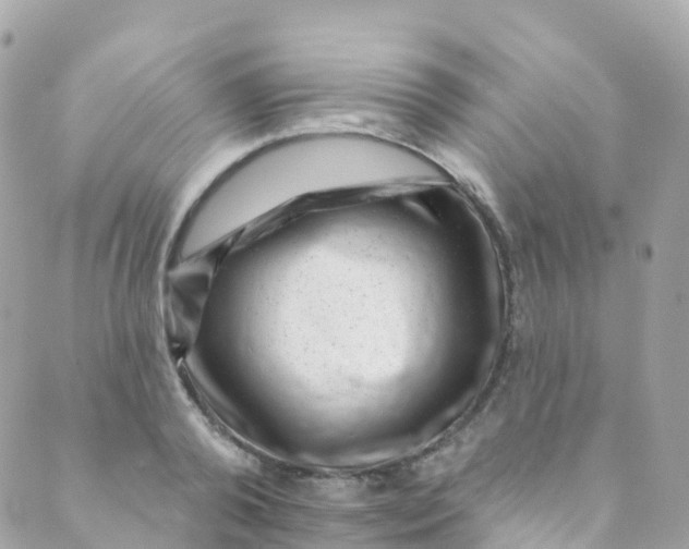 X0000089440792200707061407