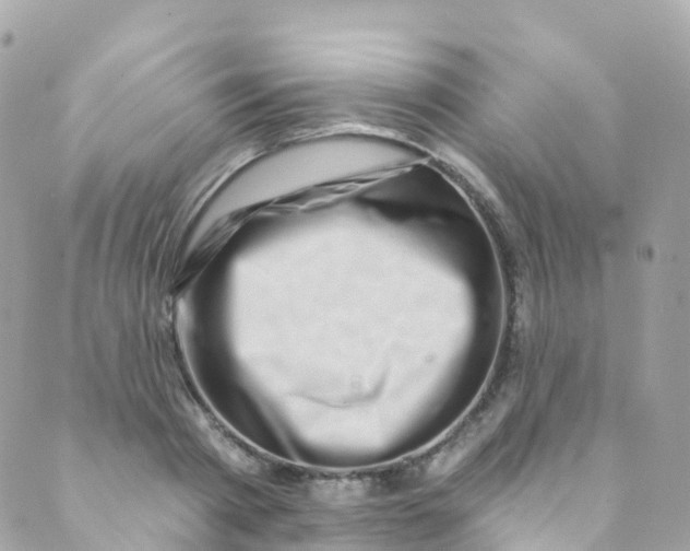 X0000089440793200707061407