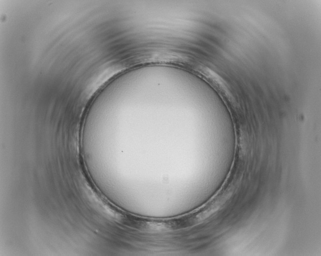 X0000089440794200707061407