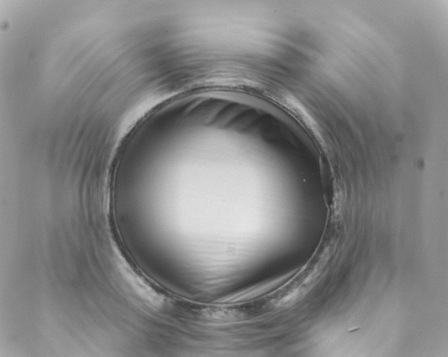 X0000089440795200707061407