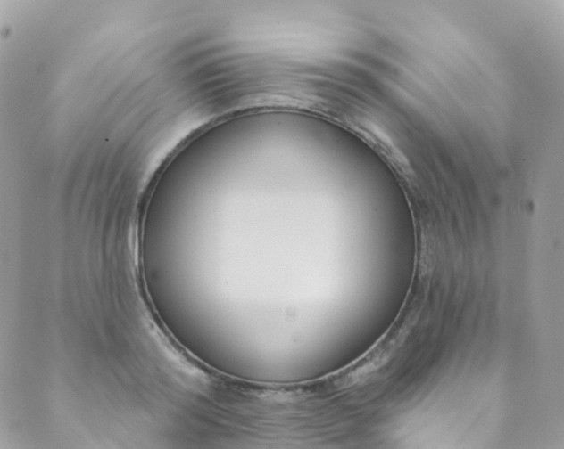 X0000089440796200707061407