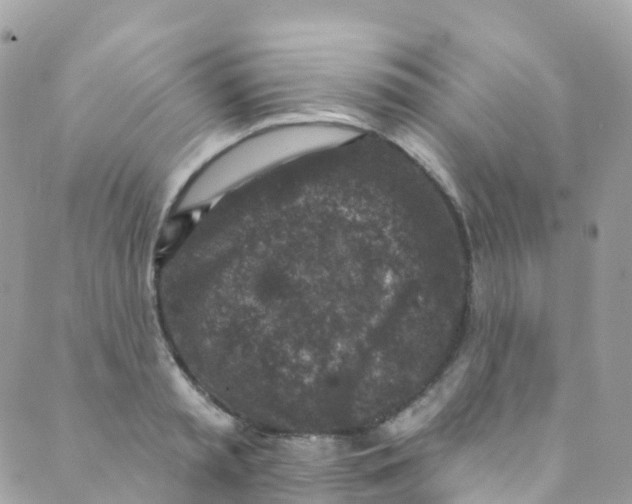 X0000089440797200707061407