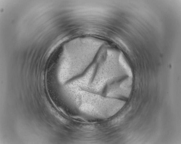 X0000089440798200707061407